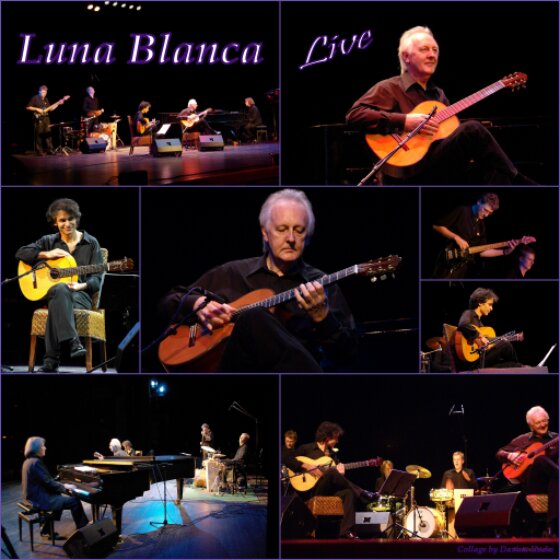 Luna Blanca Band mit Gitarre, Piano und Percussion auf der Bühne